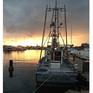 Meet your Posher, Jillian